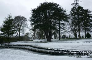Boyne Valley Hotel | Drogheda | Photo Gallery - 9